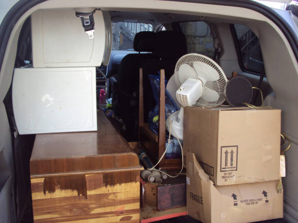 Best Yard Waste Removal  in Wellton, AZ